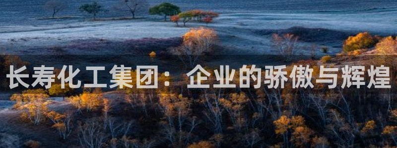 球盟会最新地址备用：长寿化工集团：企业的骄傲与辉煌
