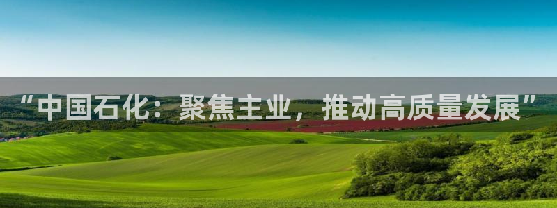 球盟会里面有打牌的嘛是真的吗：“中国石化