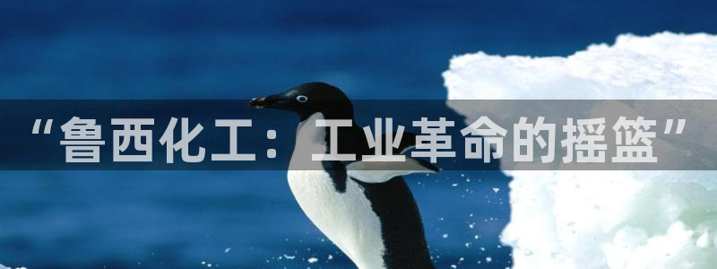 球盟会黑款吗还是白款：“鲁西化工：工业革命的摇篮”