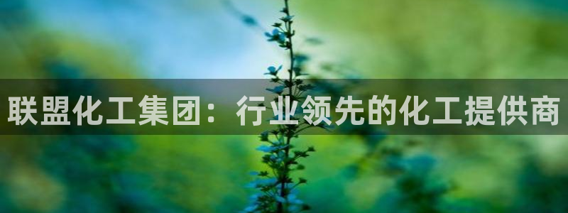 球盟会能退钱吗现在：联盟化工集团：行业领先的化工提供商