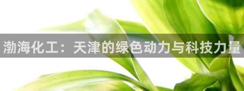 球盟会APP官网：渤海化工：天津的绿色动力与科技力量