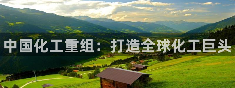 球盟会官方下载