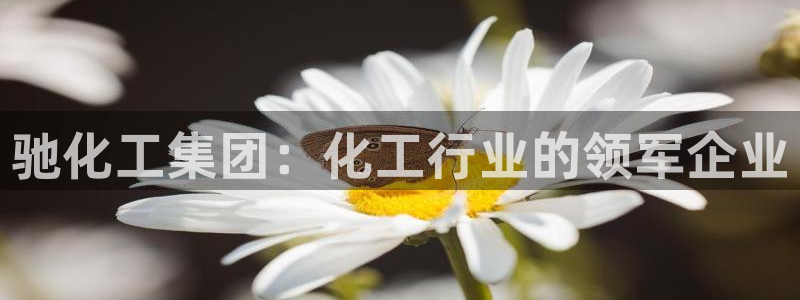 球盟会电子好下吗