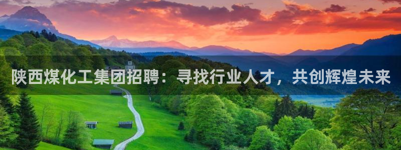 球盟会提款支付宝怎么样：陕西煤化工集团招聘：寻找行业人才，共