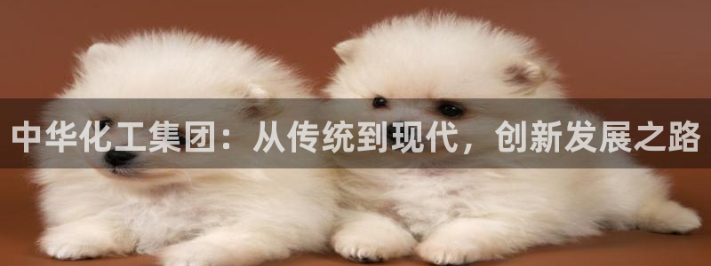 球盟会优惠领取网站是真的吗：中华化工集团：从传统到现代，创新