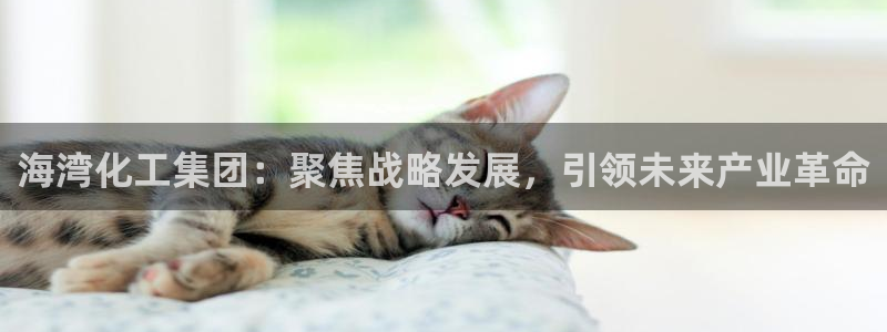 球盟会官方：海湾化工集团：聚焦战略发展，引领未来产业革命