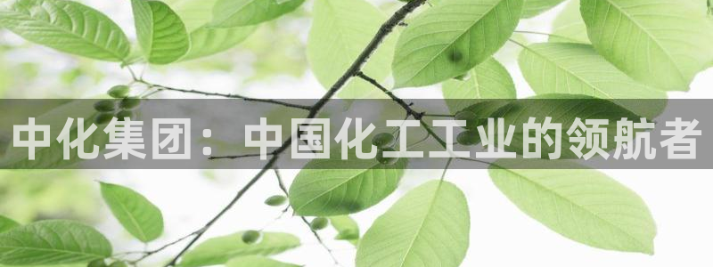 球盟会和中欧会的区别：中化集团：中国化工工业的领航者