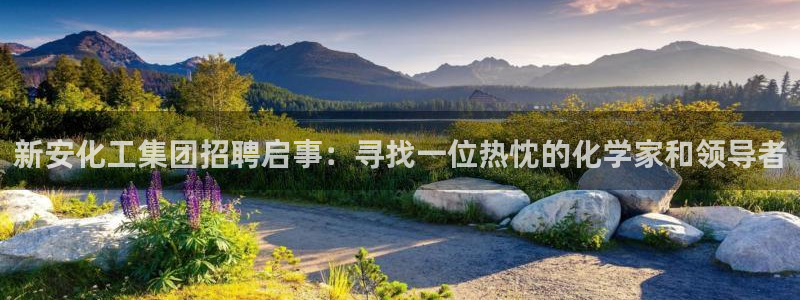 球盟会最新活动：新安化工集团招聘启事：寻找一位热忱的化学家和