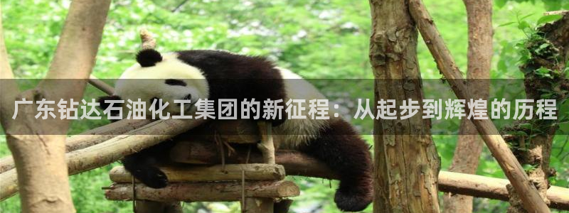 球盟会qmh：广东钻达石油化工集团的新征程：从起步到辉煌的历