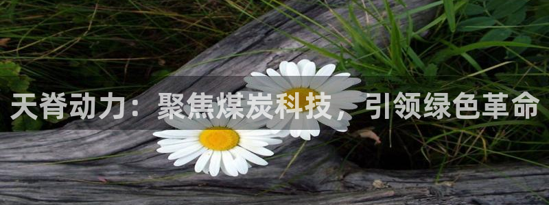 球盟会头号玩家：天脊动力：聚焦煤炭科技，引领绿色革命