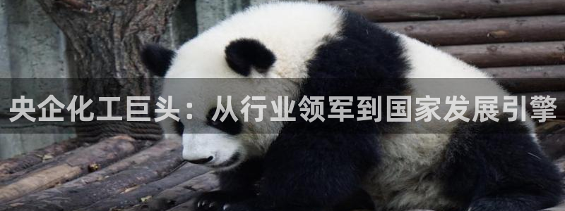 球盟会在线官网