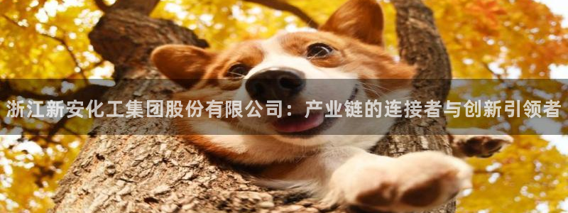 球盟会平台会黑单吗