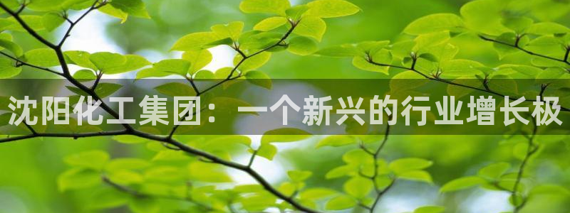 球盟会官方登录平台入口