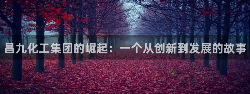 球盟会黑台子吗