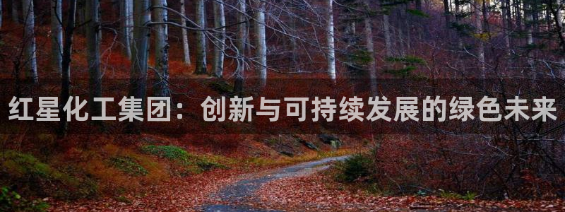球盟会官方版下载地址
