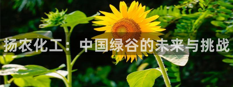 球盟会在线登入