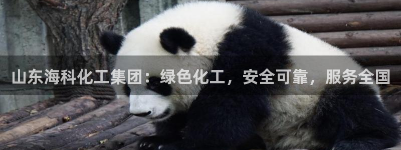 球盟会官方最新入口：山东海科化工集团：绿