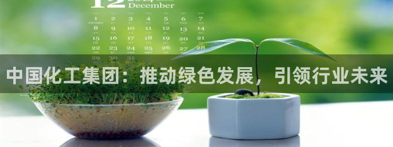 球盟会国际官网：中国化工集团：推动绿色发