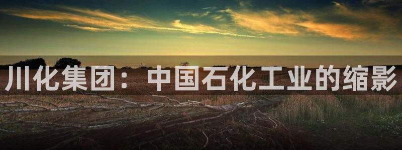球盟会网页版：川化集团：中国石化工业的缩