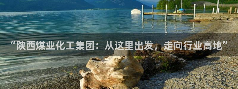 球盟会官网网页版：“陕西煤业化工集团：从