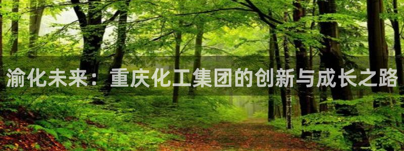 球盟会app最新地址在哪看：渝化未来：重