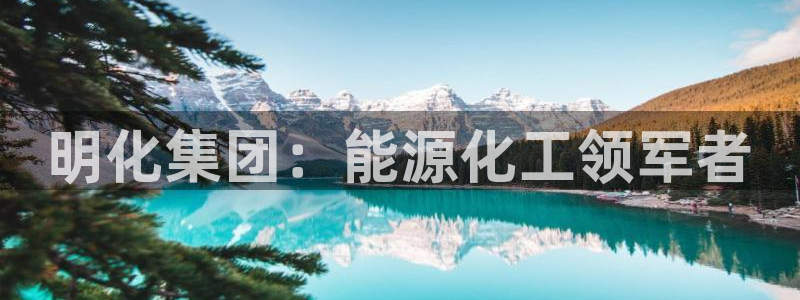 球盟会体育平台：明化集团：能源化工领军者