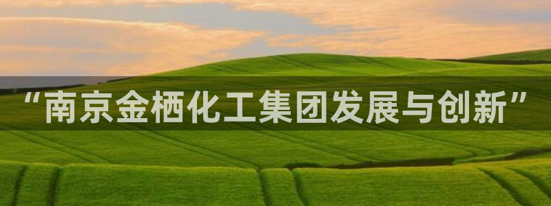 球盟会进不去吗：“南京金栖化工集团发展与