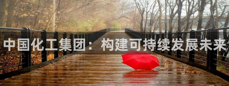 球盟会qmh官网：中国化工集团：构建可持