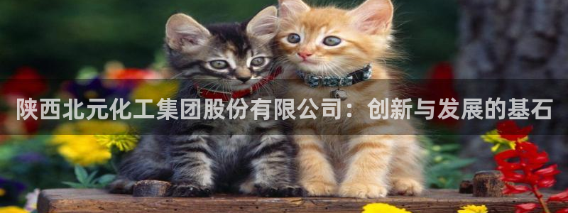 球盟会官方：陕西北元化工集团股份有限公司