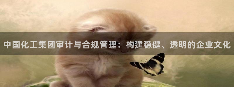 球盟会qm：中国化工集团审计与合规管理：