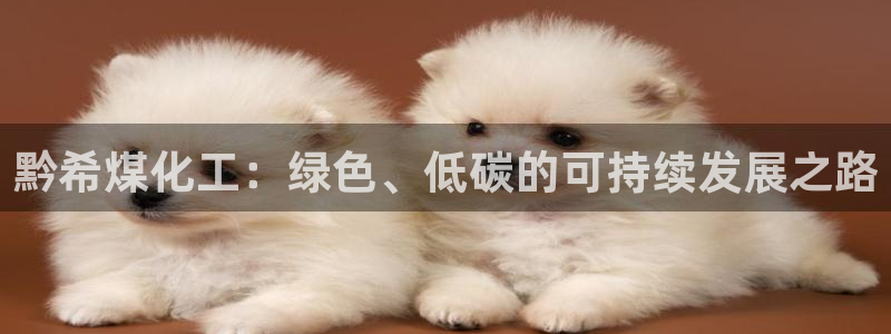 球盟会官方app首页入口：黔希煤化工：绿