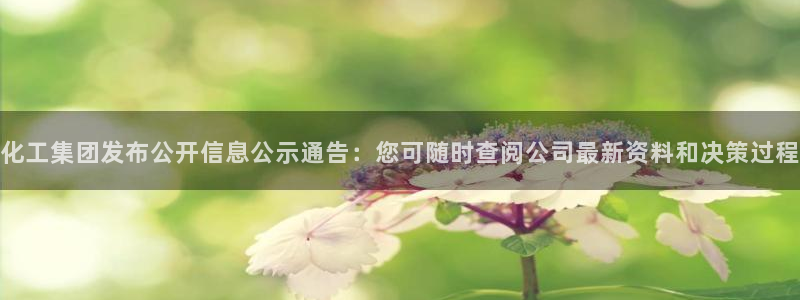 球盟会app手机登录：化工集团发布公开信